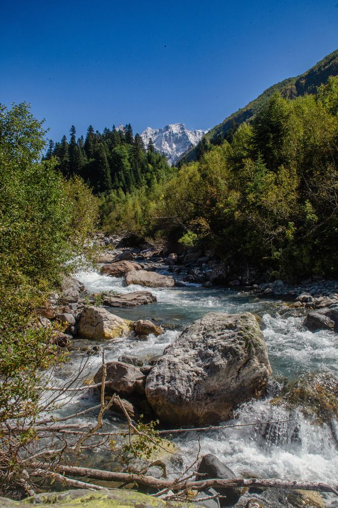 Photograph by Полина Веселова