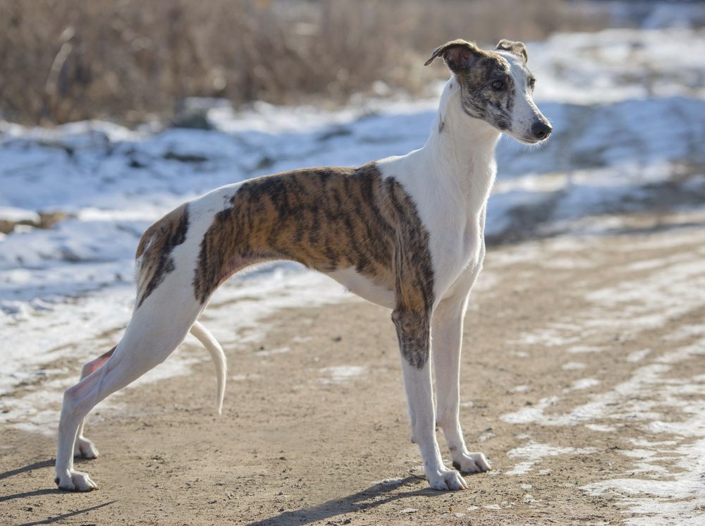 Photograph by Анастасия Рысь