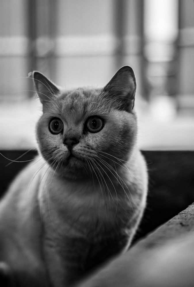 В смысле кормить не будут