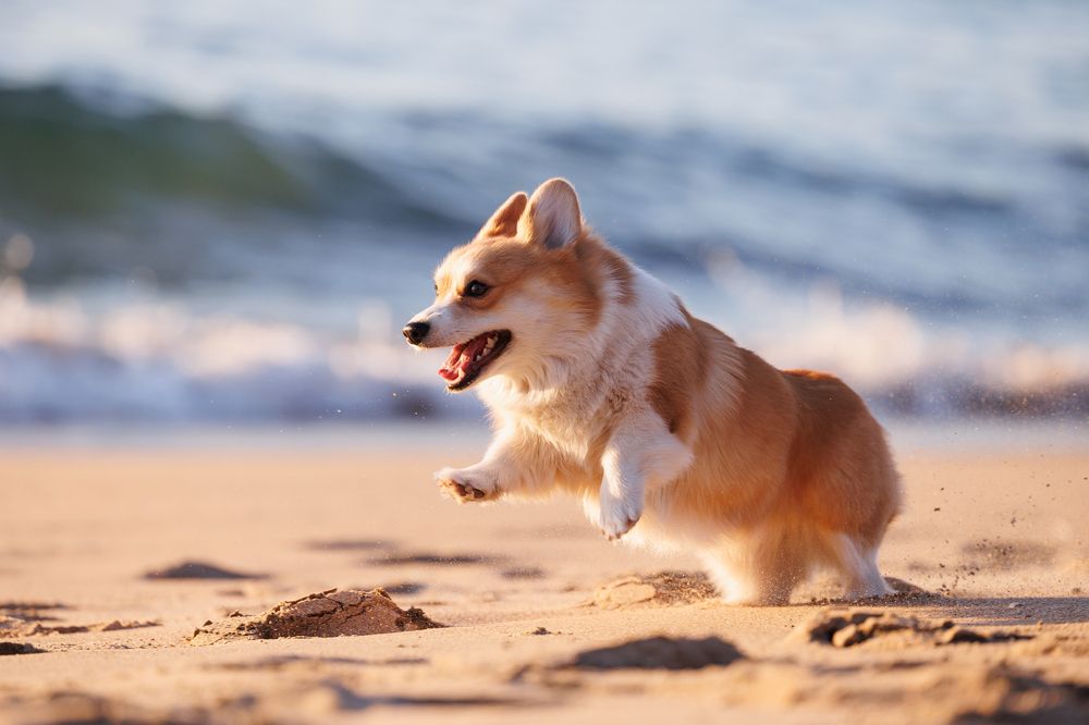 Photograph by Анна Титова