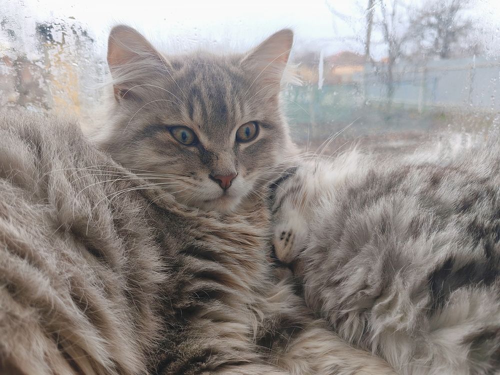 Photograph by Татьяна Шевченко