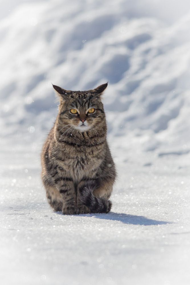 Photograph by Мамсур