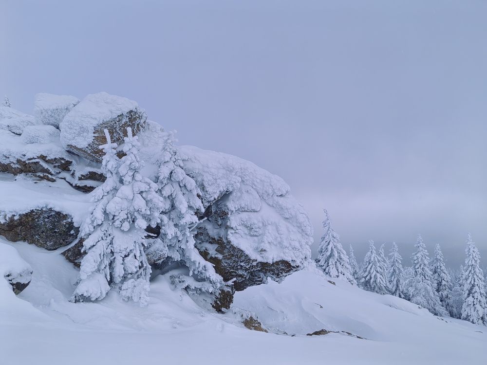 Photograph by Наталья