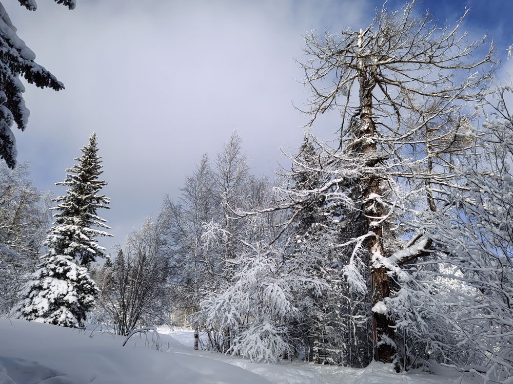 Photograph by Наталья