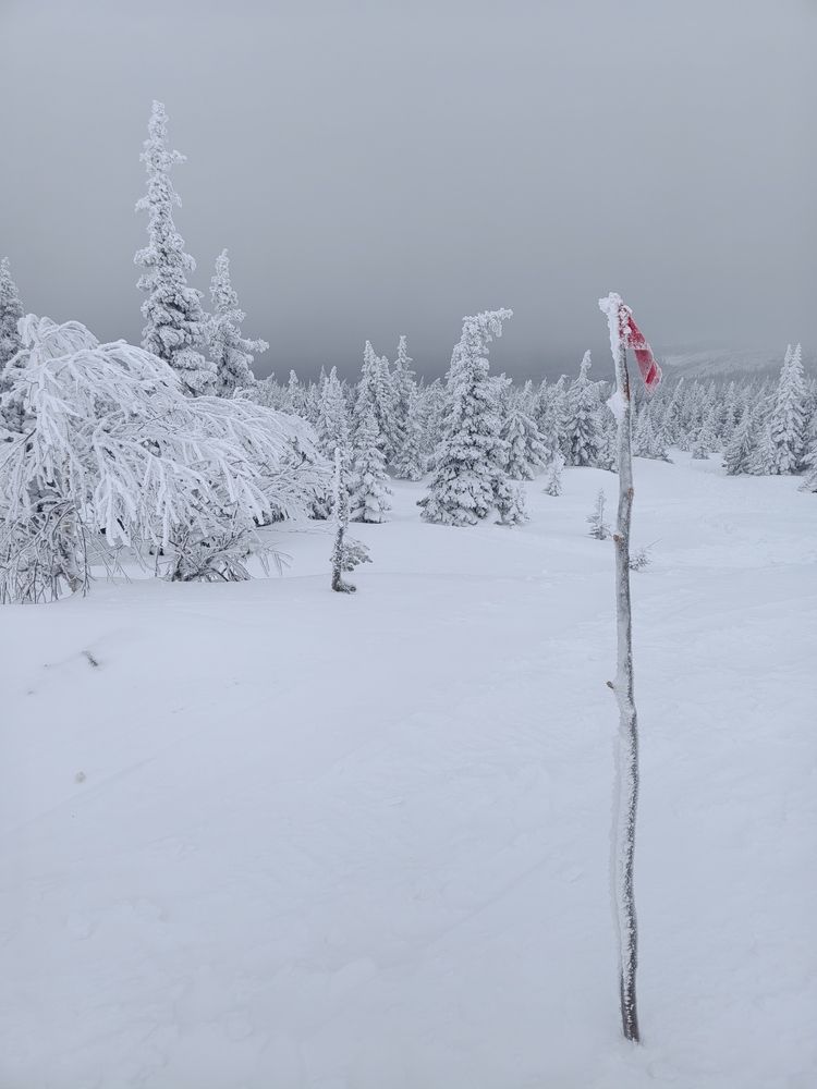 Photograph by Наталья