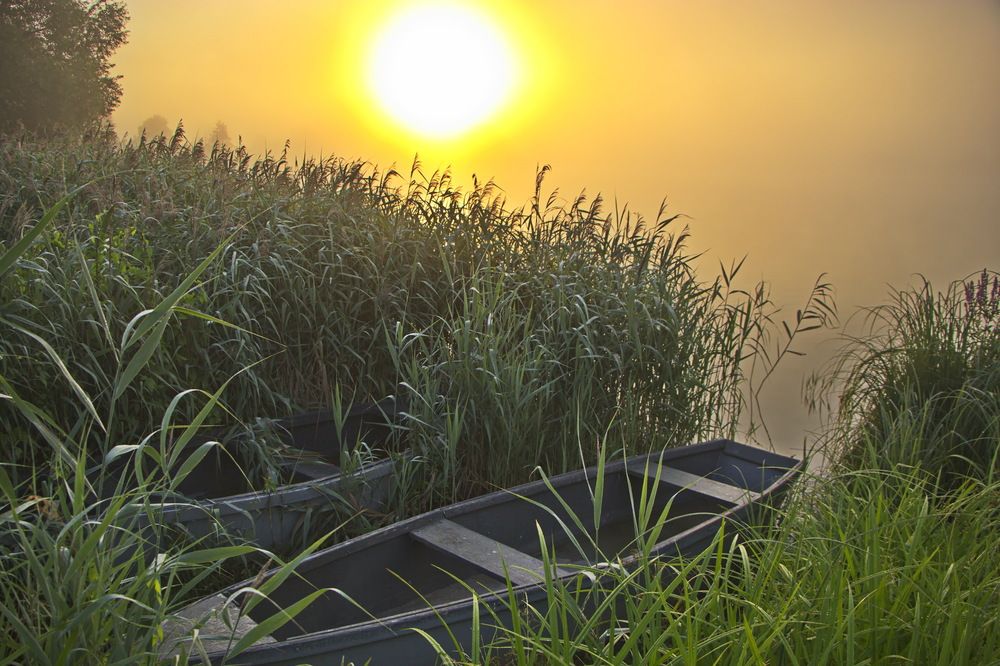 Фотография автора Анатолий Борисов
