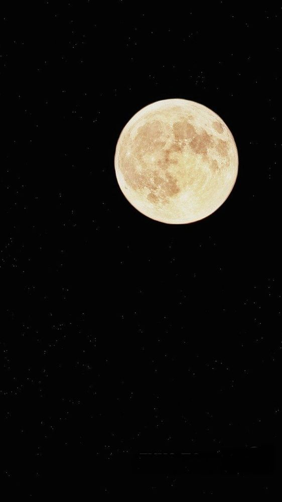 Photograph by Регина Джумалиева