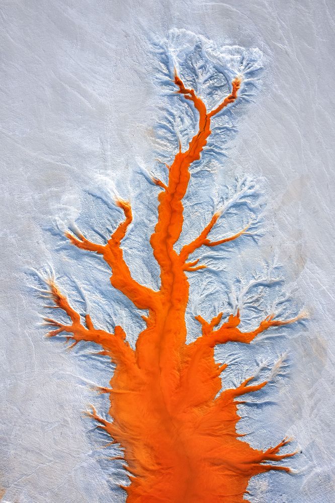 Photograph by Daniel Viñé Garcia