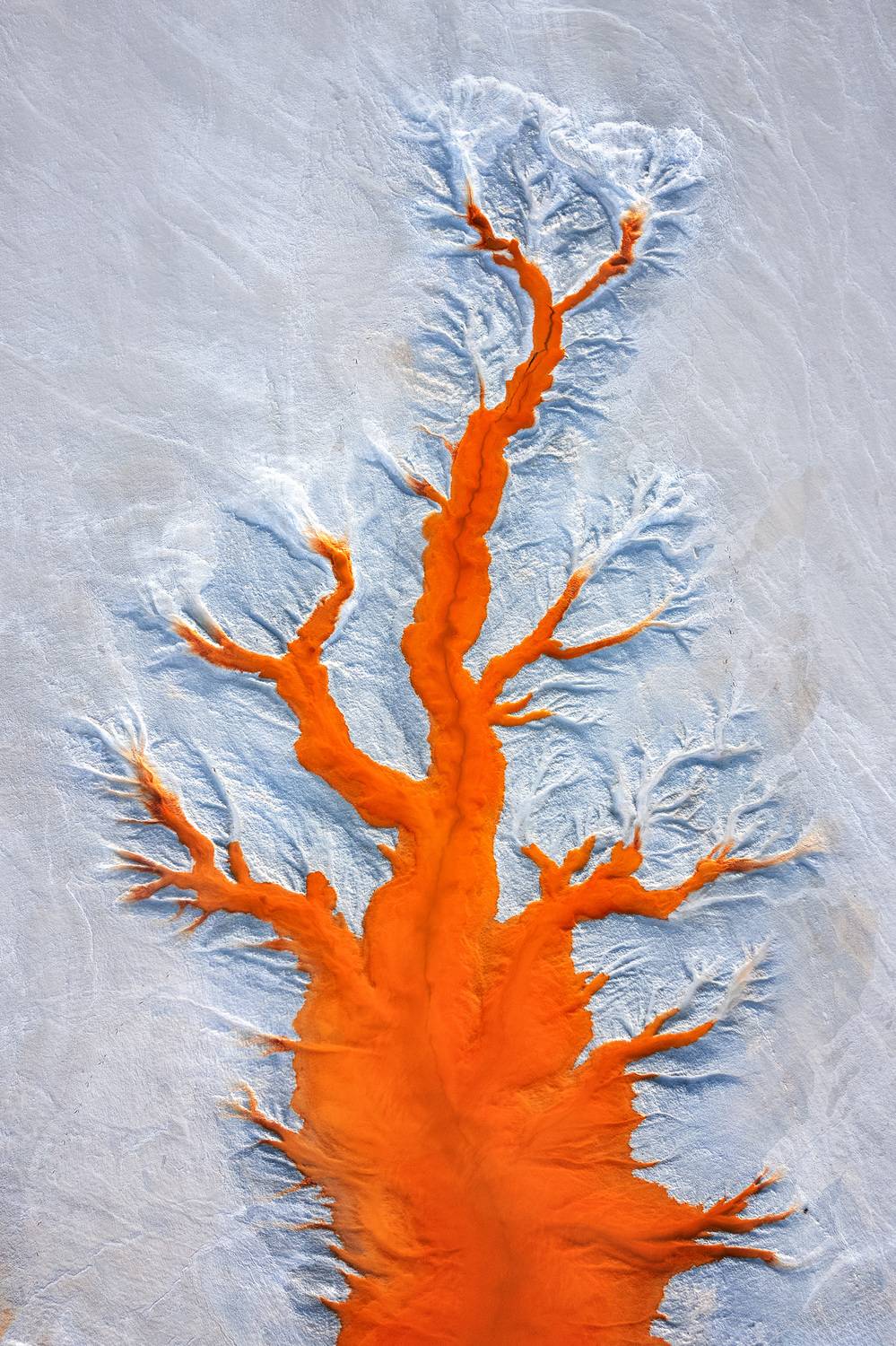 Фотография #12033629