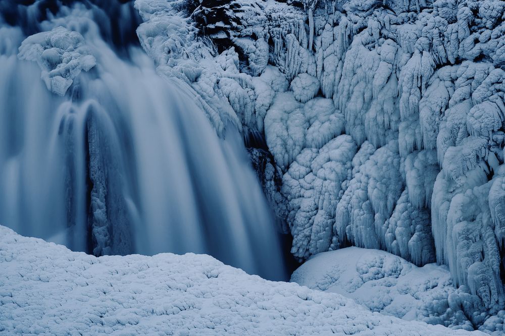 Photograph by Aman Wilson