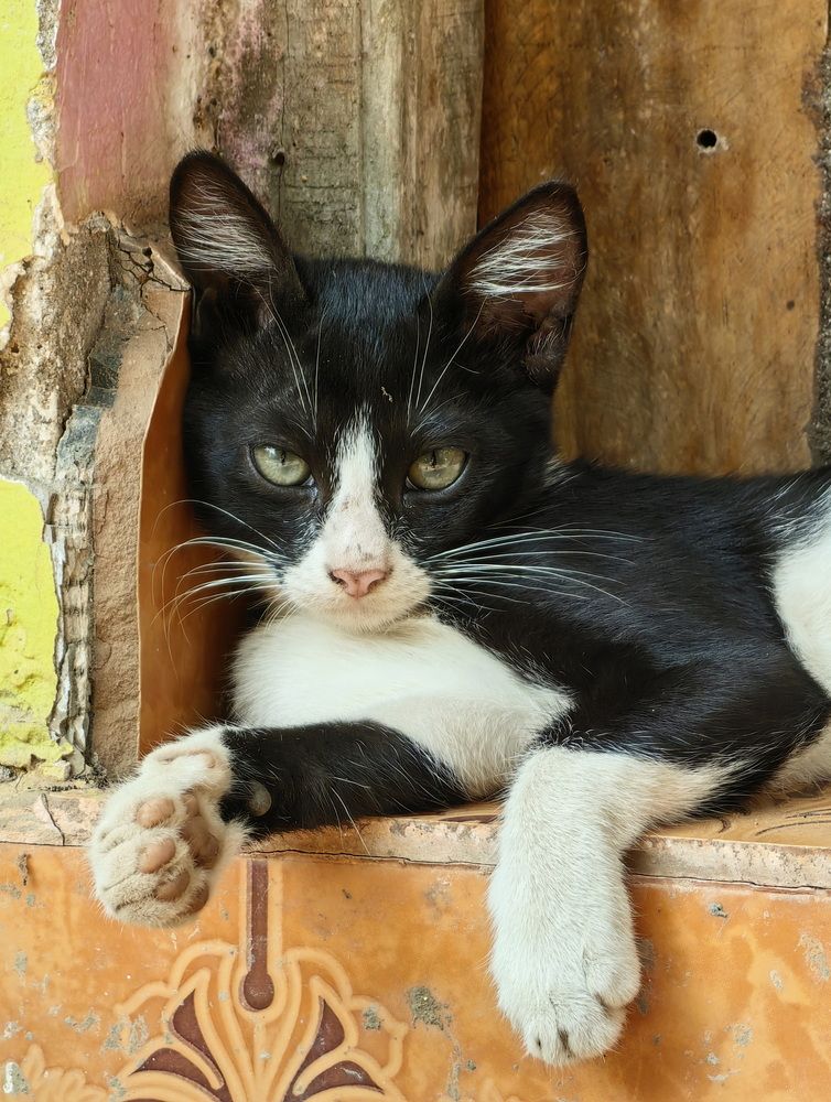 Photograph by Кристина Феминова