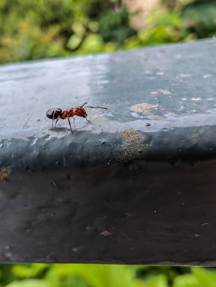 Фотография автора Владимир Хакимов