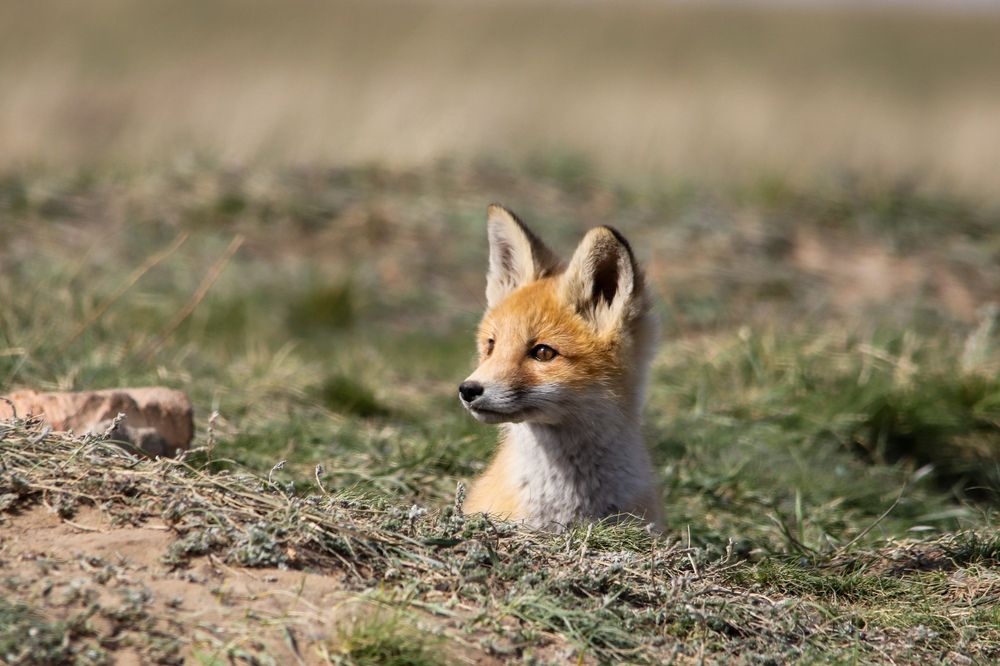 Photograph by Наталья Трифуз