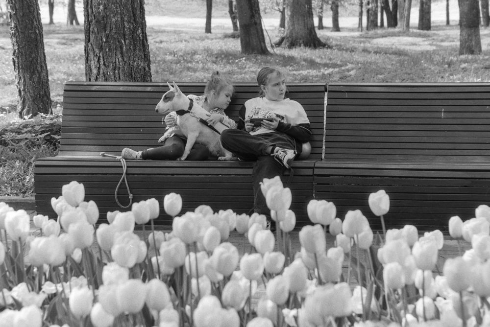 Photograph by Юлия Близнецова