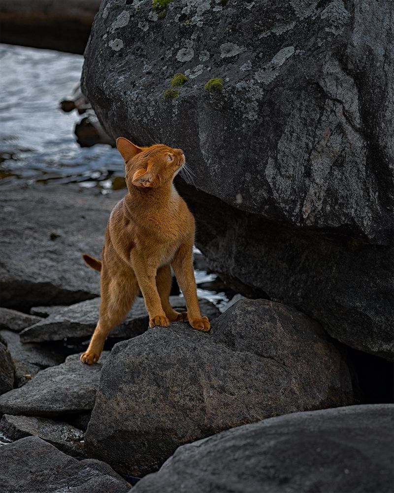 Photograph by Михайлова Елена