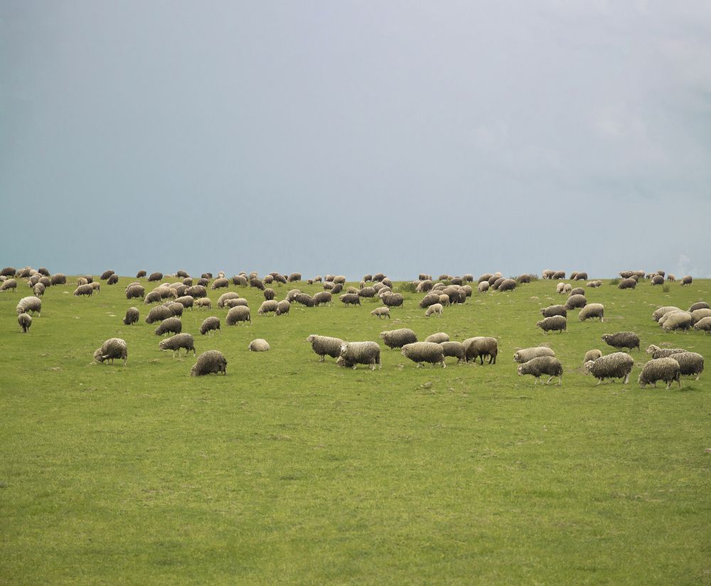 Photograph by Юлія Белая