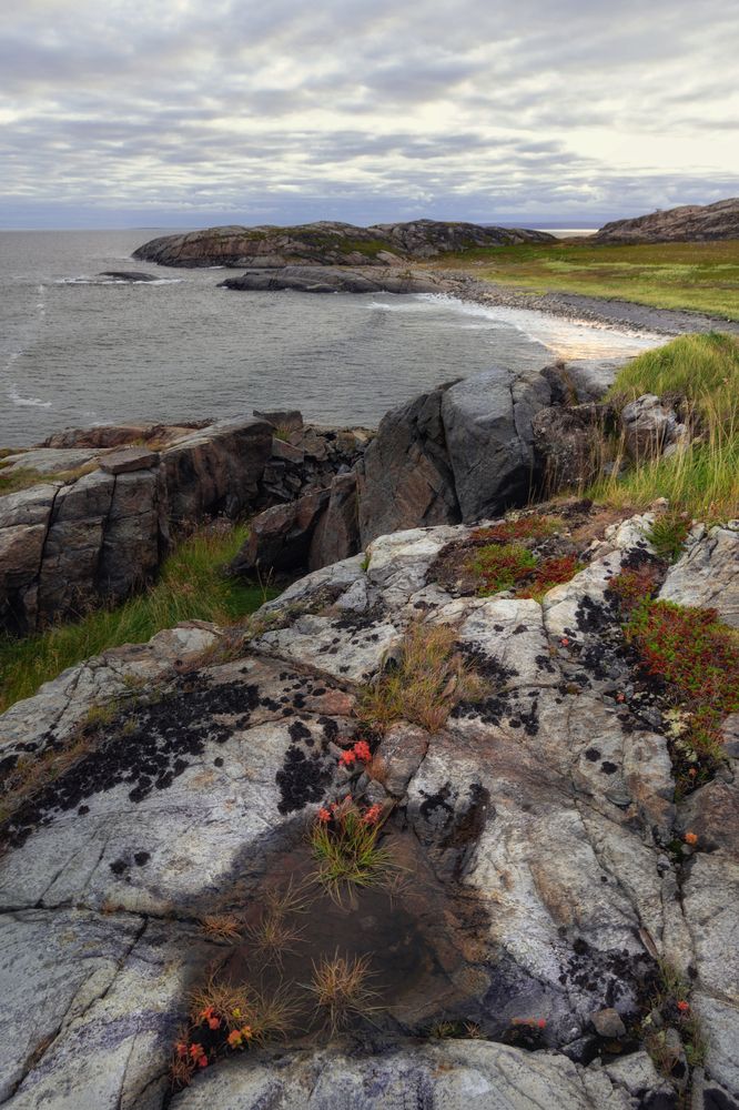 Photograph by Алёна Ивочкина