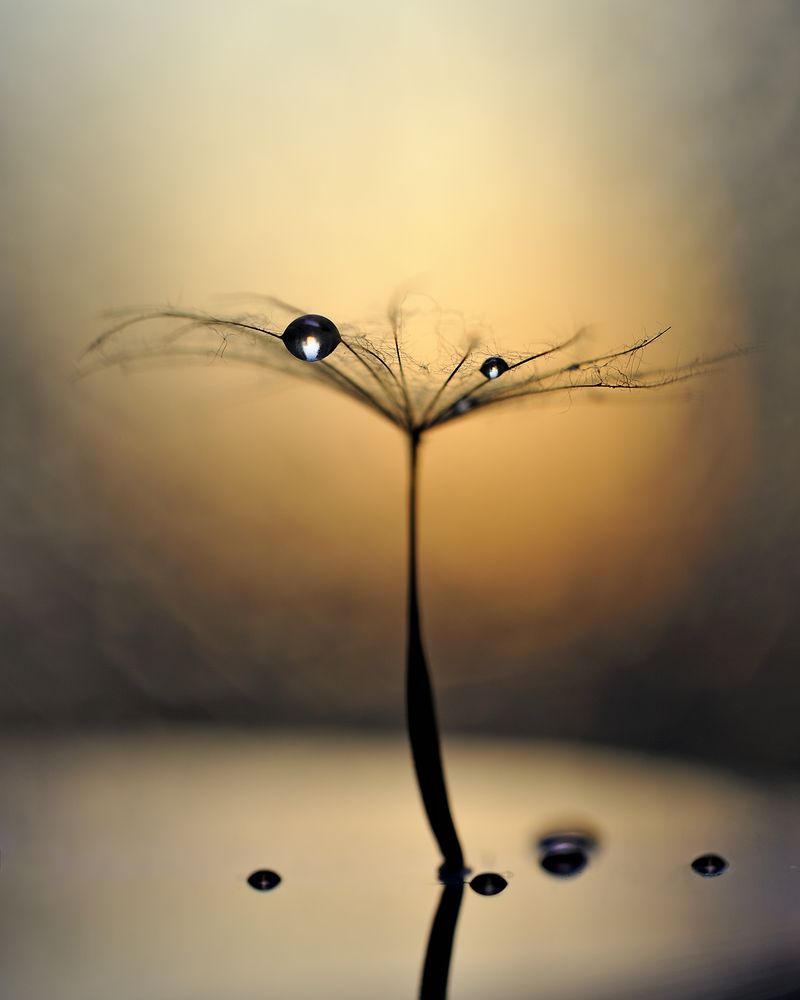 Равновесие