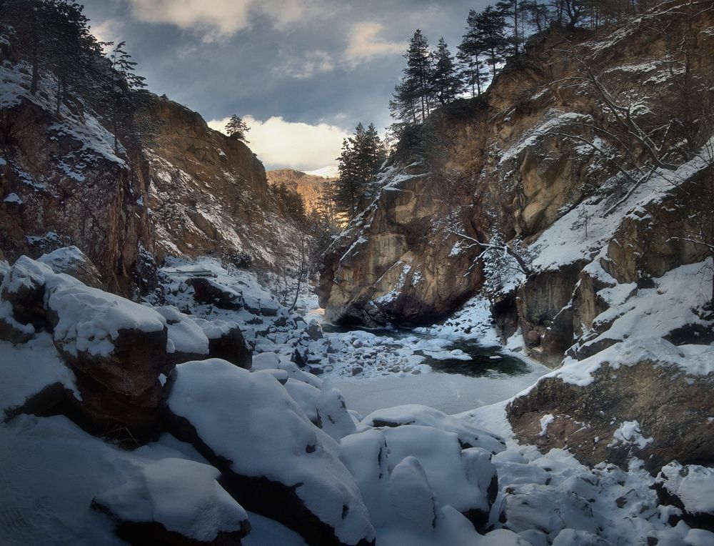 Photograph by Алексей Никонов