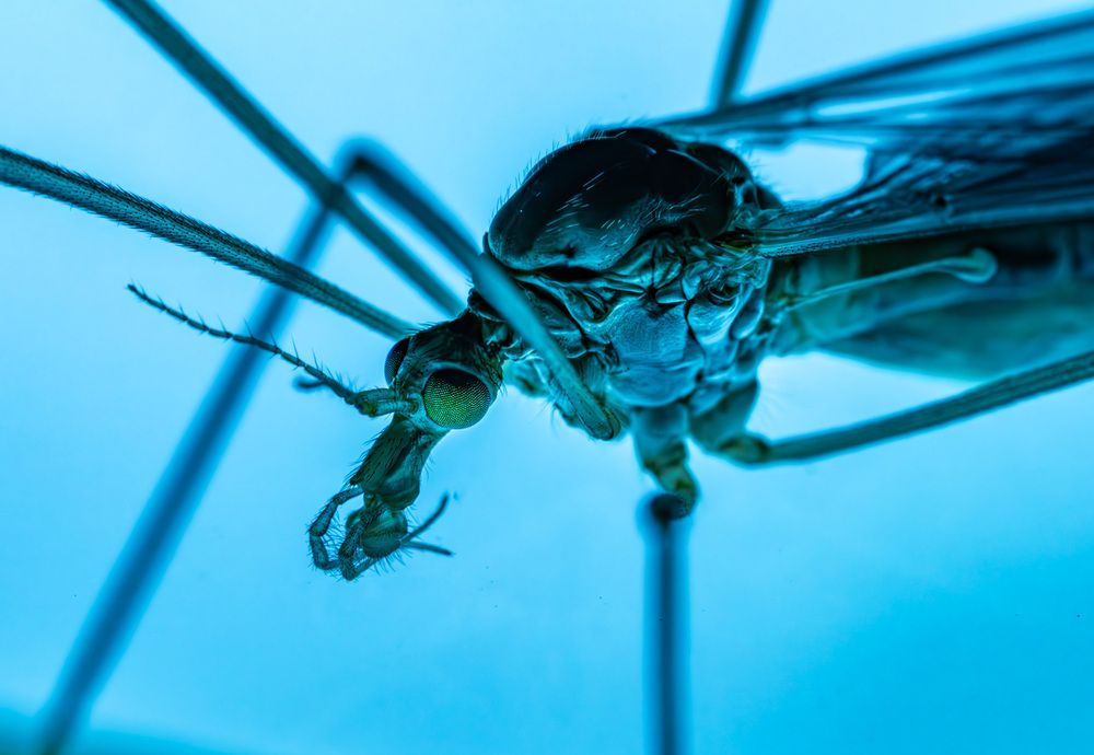 Фотография автора Максим Бессалый