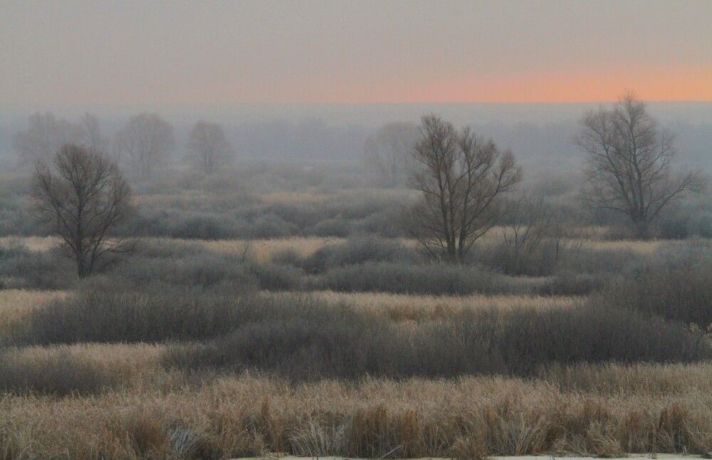 Фотография автора Татьяна Шебаршенко