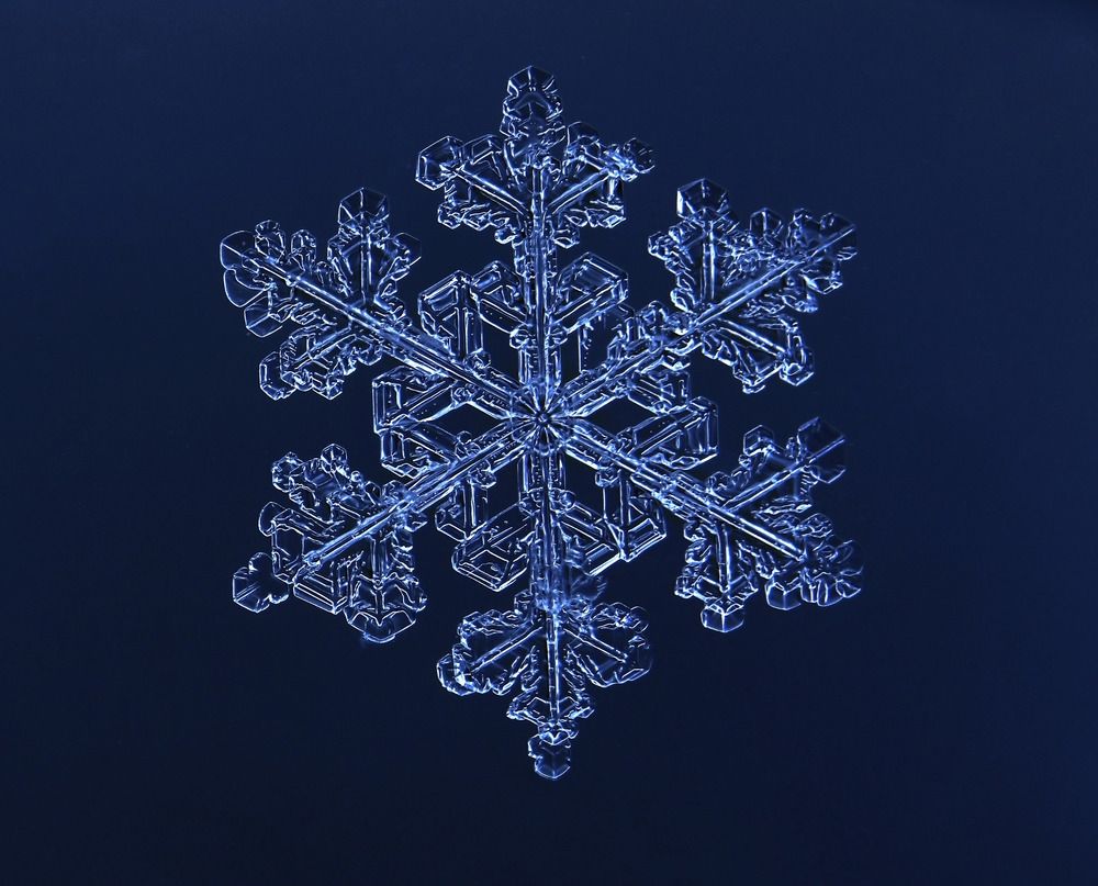 Photograph by Vladimir Freedom