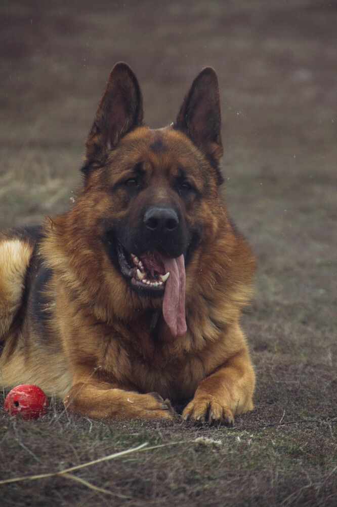 Photograph by Дарья Сычева