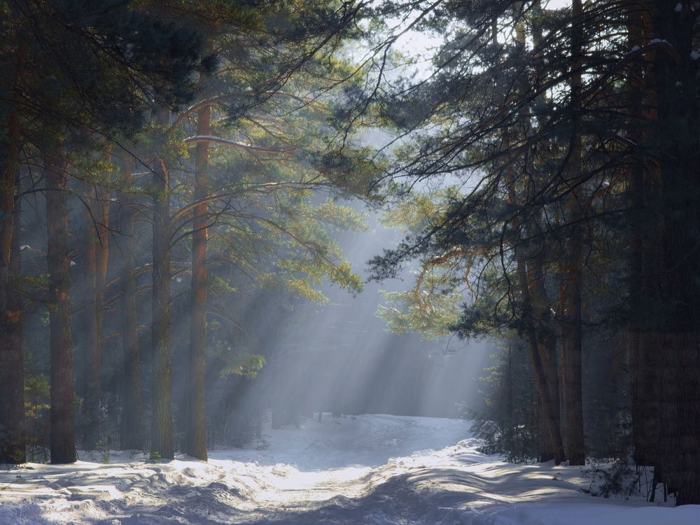 Photograph by Кузнецов Дмитрий