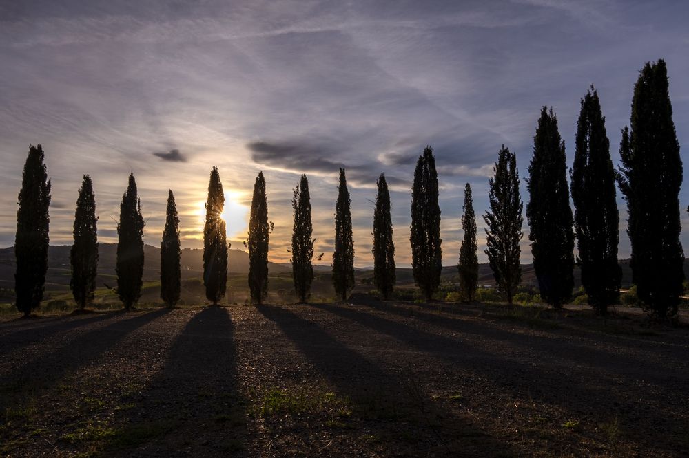 Фотография автора Roberta Costanzi