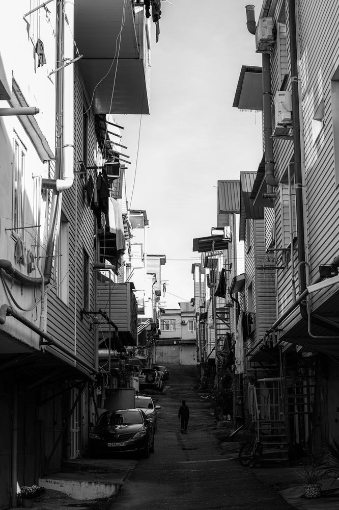 Дорога домой