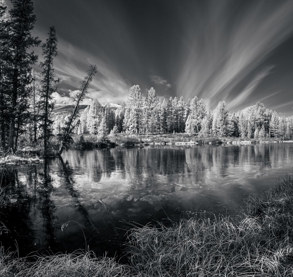 Photograph by Devender Mark