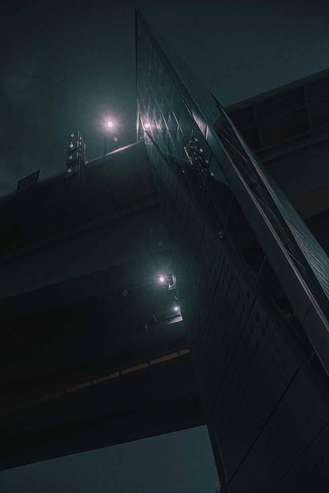 Фотография автора Илья Ницкий