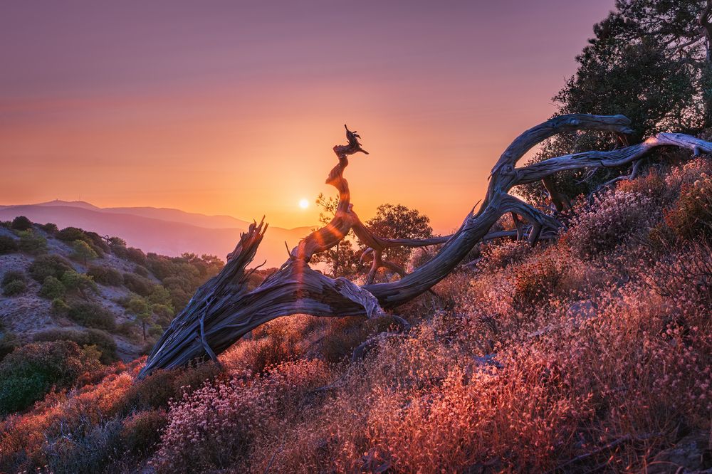 Photograph by Svetlana Tertyshnaya