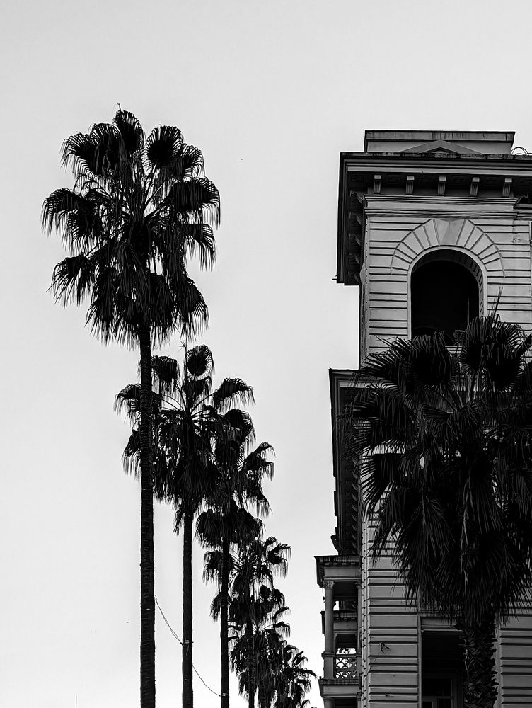 Photograph by Uliana Volegova