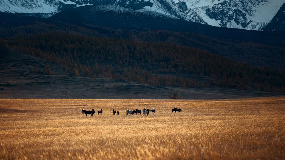 Photograph by Андреев Сергей