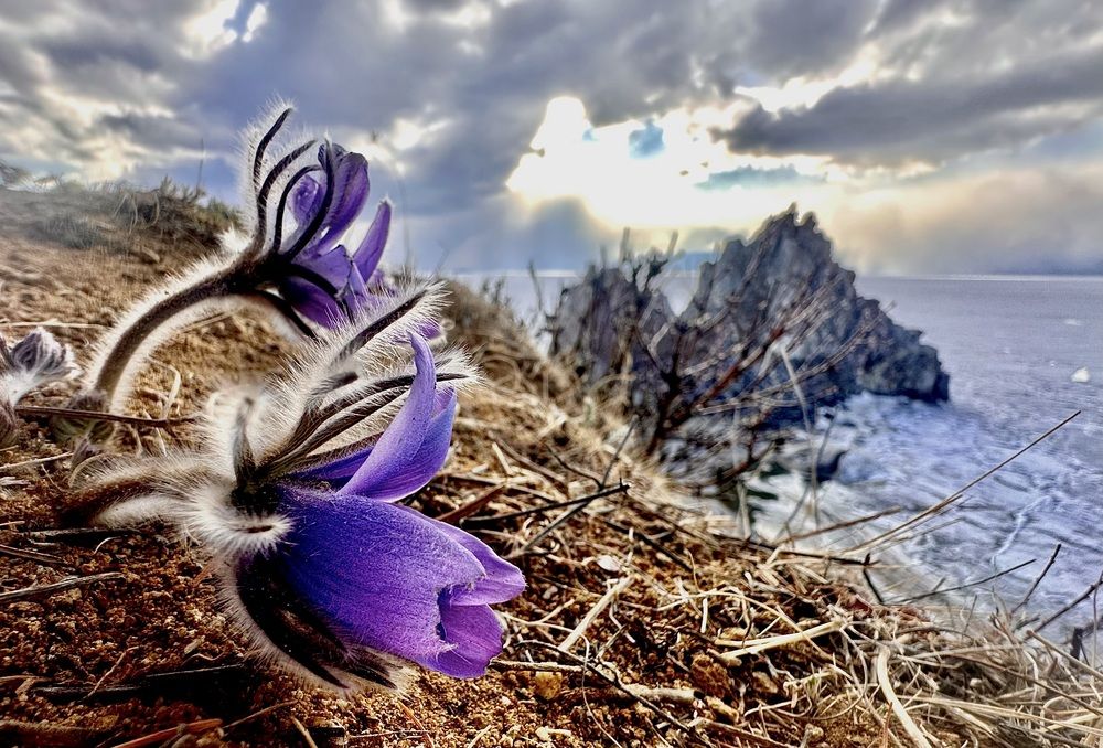 Фотография автора Леонид Голубков