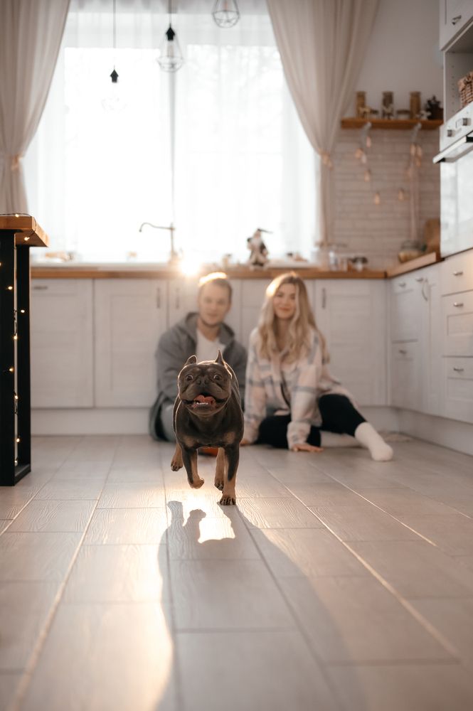 Photograph by Аряева Анна