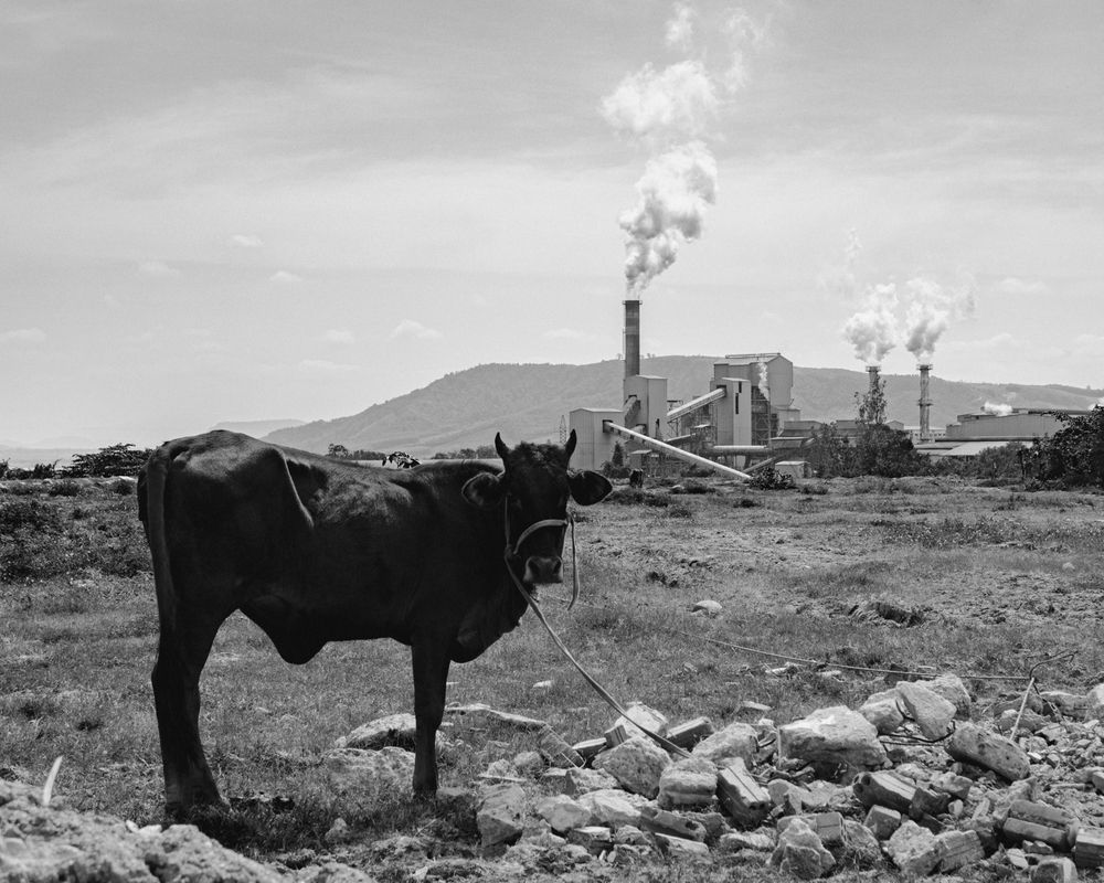 Silent Beast in an Industrial Haze