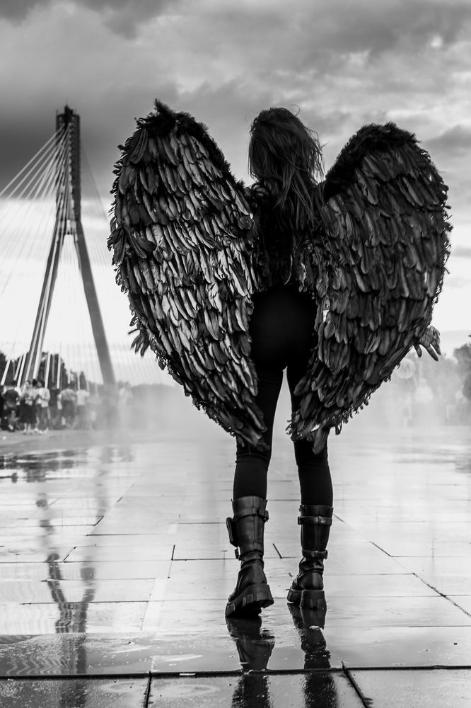 Photograph by Krzysztof Kąsek