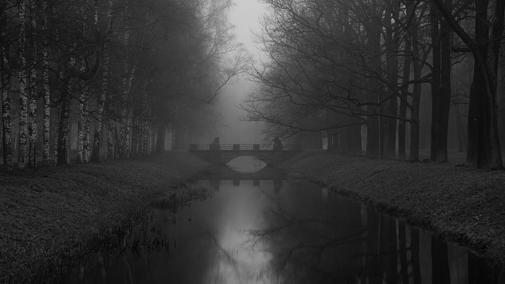 A morning in November