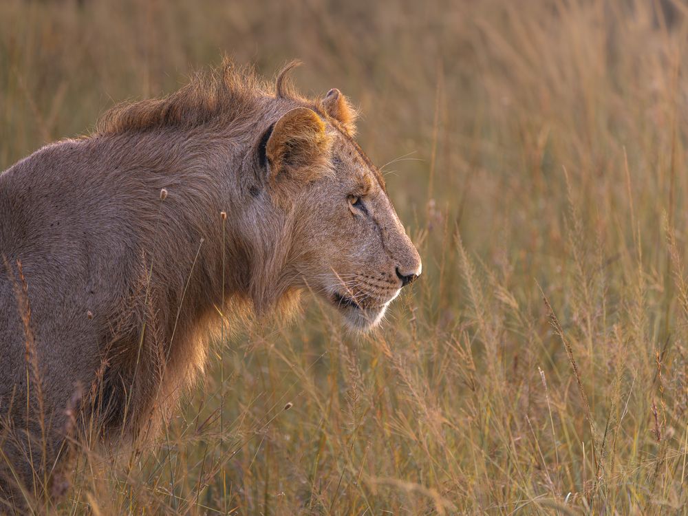 Photograph by Jayakumar MN