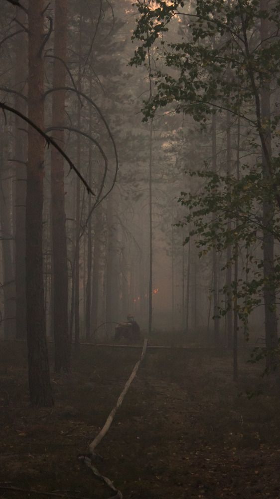 Photograph by Иван