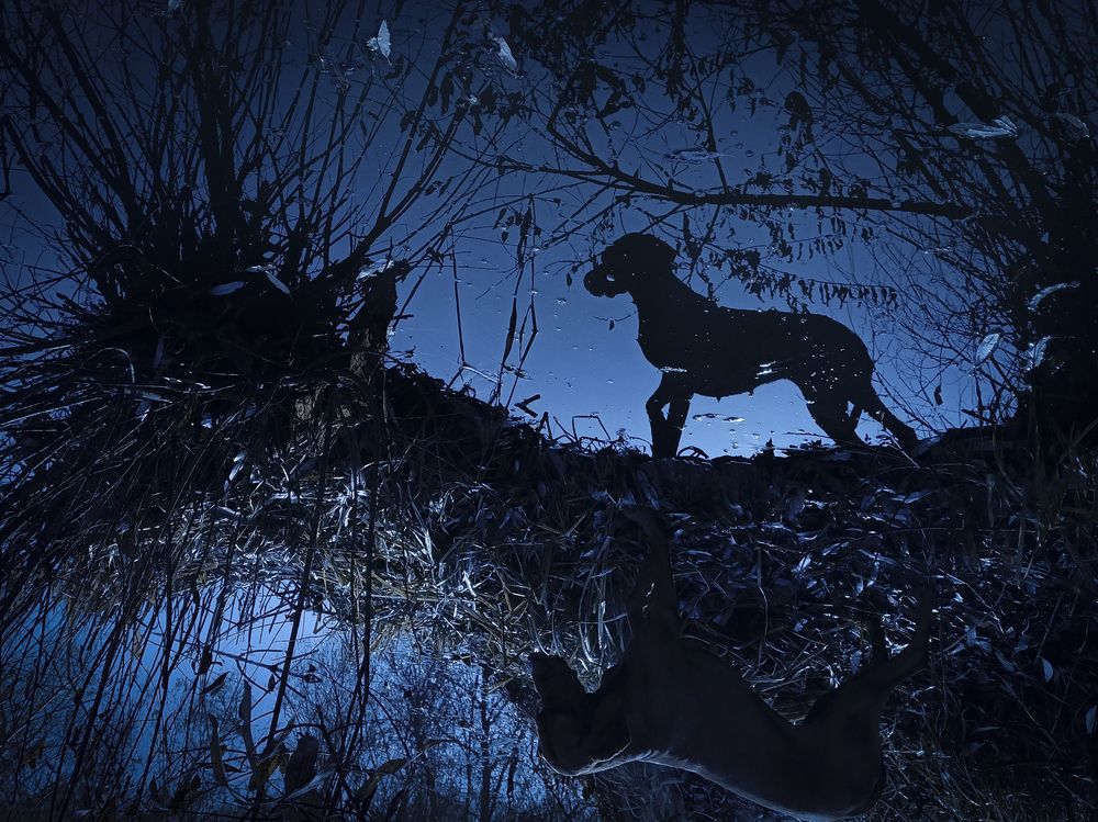 Photograph by Эльнара Исаева