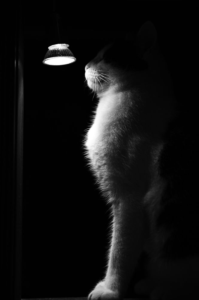 Photograph by Аряева Анна