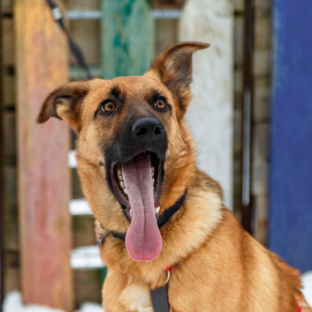 Photograph by Оксана Пучкова