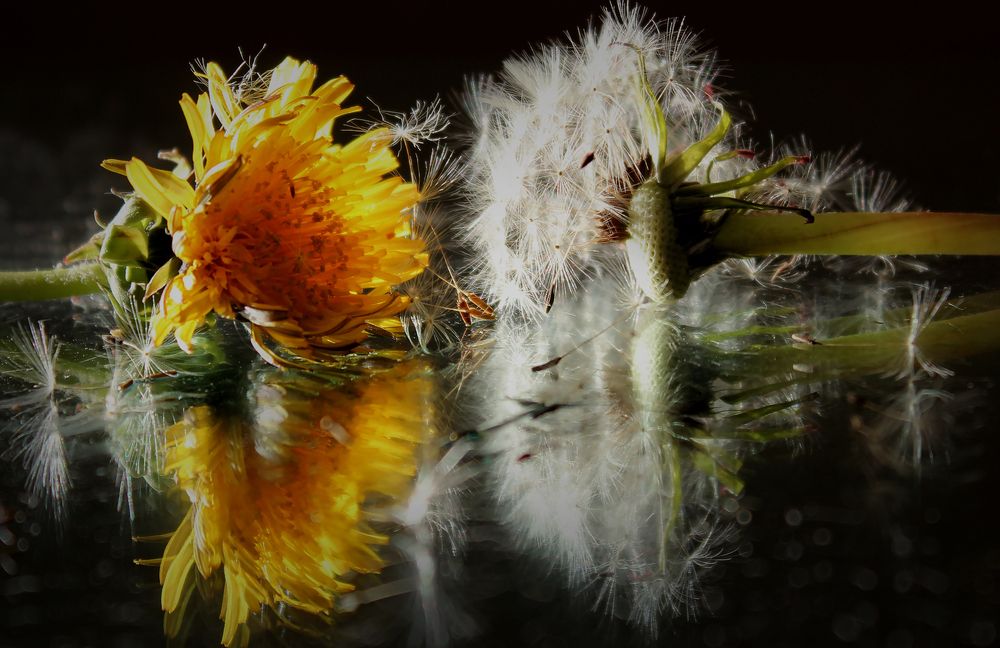 Photograph by Зоя Быкова