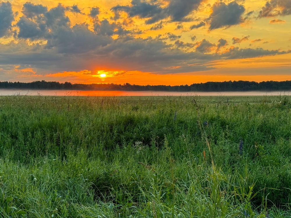 Photograph by Антон Жирнов