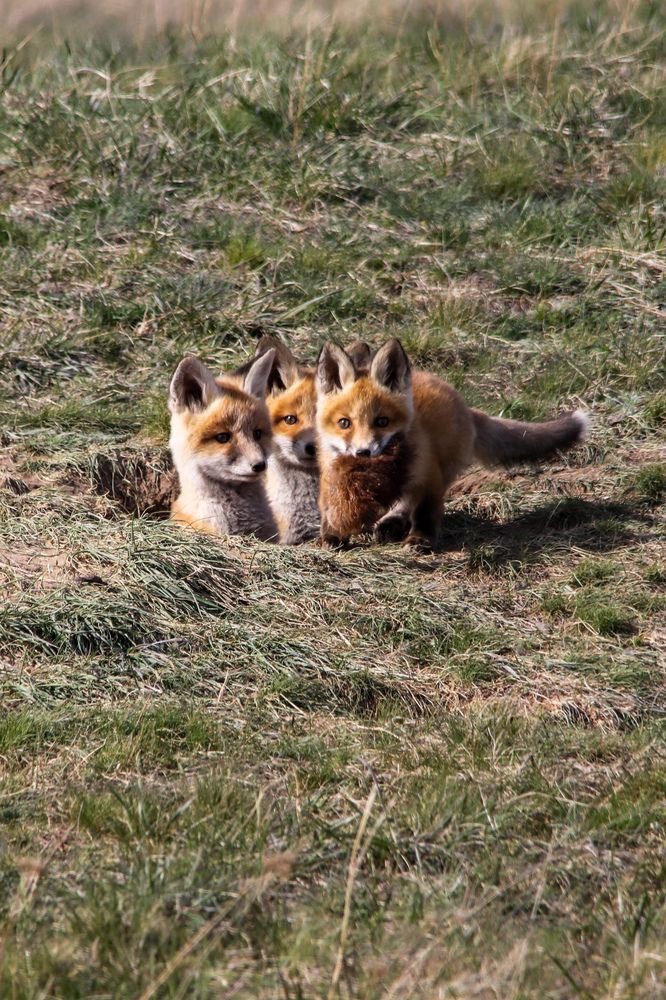 Photograph by Наталья Трифуз