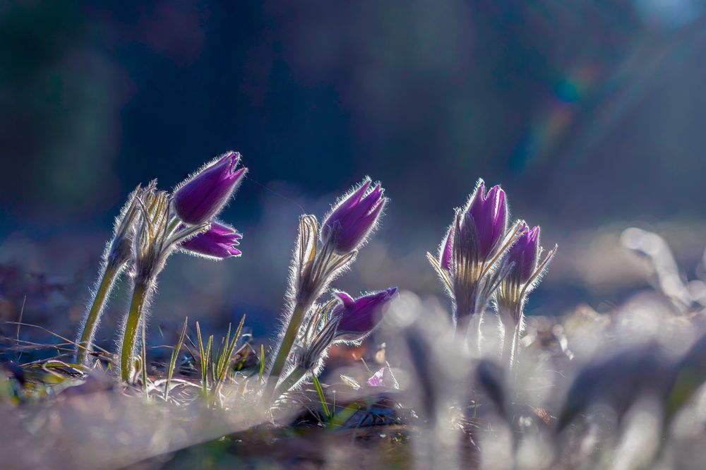 Photograph by Игорь Меркулов