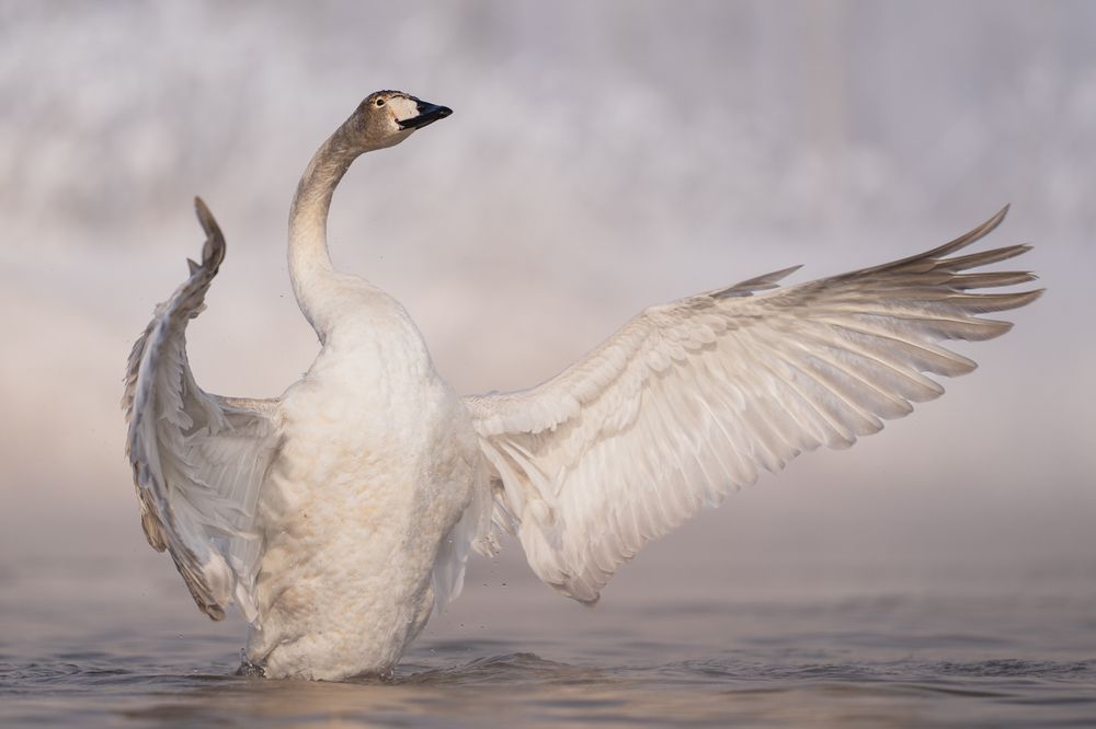 Photograph by Елена Головкина